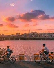 足球现场比分网-探秘足球现场比分网，球迷的实时观赛指南针